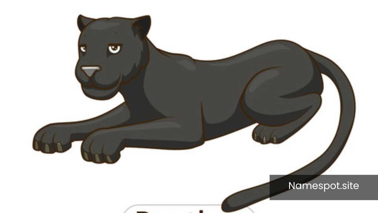 Panther Names