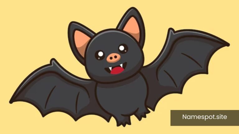 Names for Bats