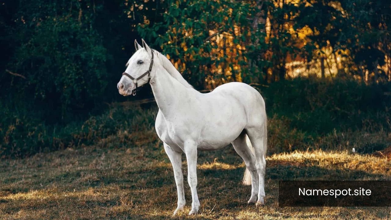 White Horse Names